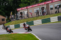 cadwell-no-limits-trackday;cadwell-park;cadwell-park-photographs;cadwell-trackday-photographs;enduro-digital-images;event-digital-images;eventdigitalimages;no-limits-trackdays;peter-wileman-photography;racing-digital-images;trackday-digital-images;trackday-photos